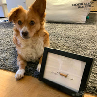 ILWR "IKEA-Holzdübel", handgezeichnete Kunst im Rahmen (mit 3D-Objekt)